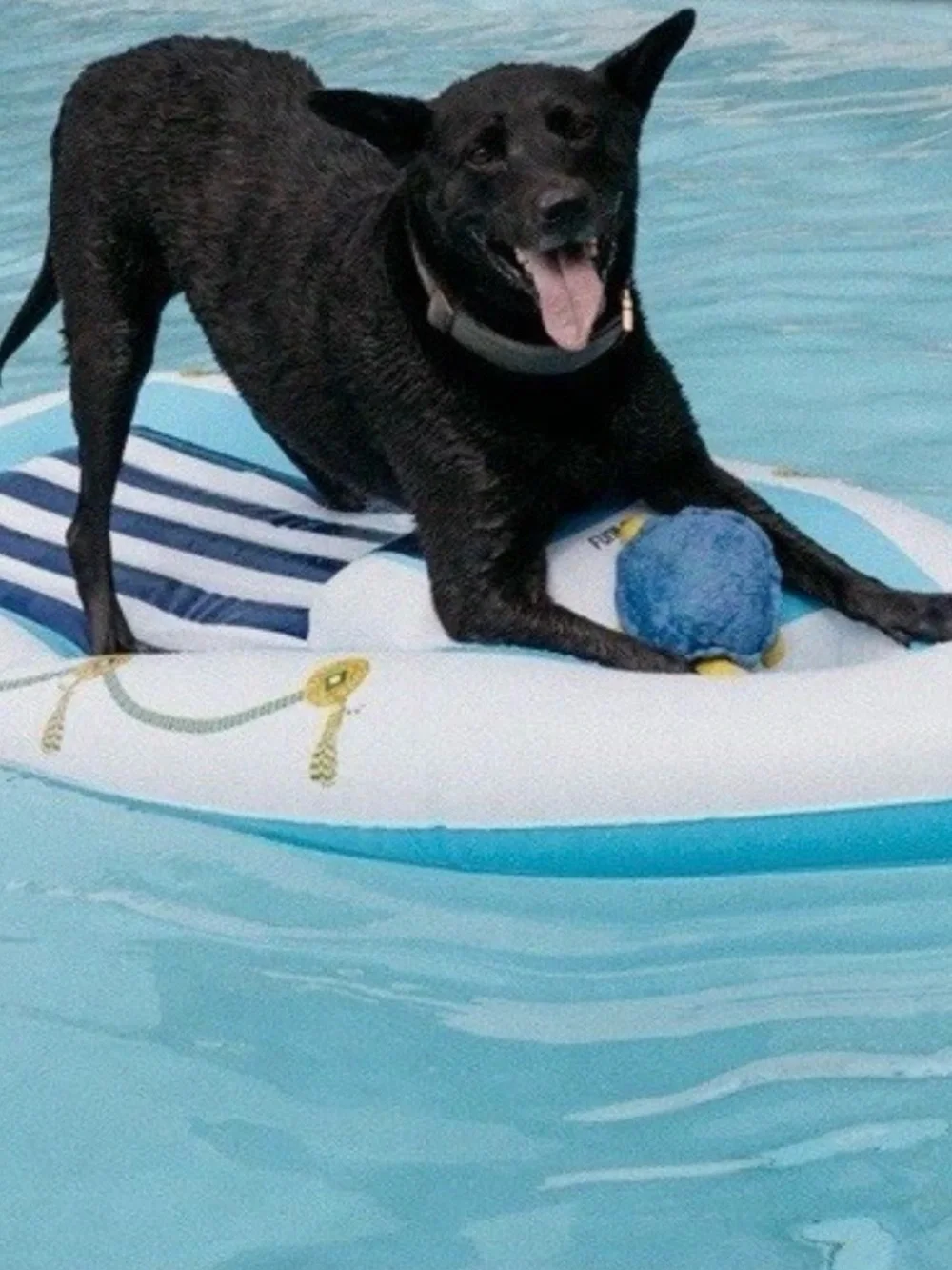 Funboy x Bark Yacht Dog Luxury Pool Float Life Water Pet Toy 63x27 NIB